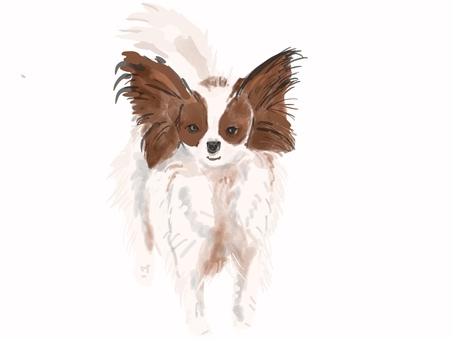 Illustration, папион, собака, животное, 