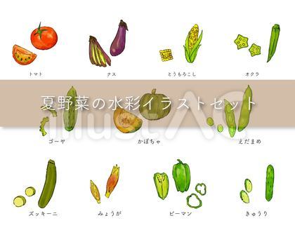 夏野菜のイラスト 夏 旬の食べ物