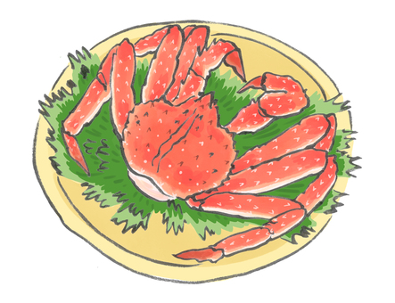 タラバガニのイラスト タラバガニ,蟹,茹でガニ,筆,筆ペン,甲殻類,冬のイラスト素材