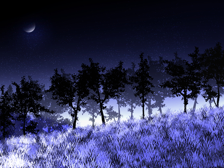 夜空　林 背景,グラデーション,林,木,草のイラスト素材