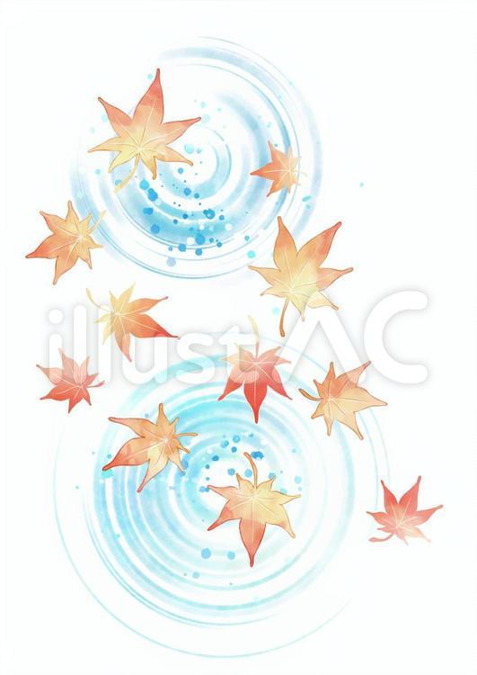 水面と落ち葉 落ち葉,もみじ,秋のイラスト素材