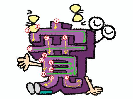 寛　漢字　書き順あり 寛,フォント,漢字,立体,文字絵,目,書き順,矢印,13画,可愛いのイラスト素材