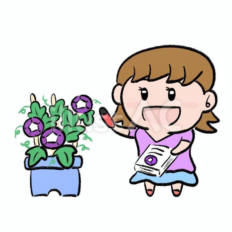 朝顔を観察している女の子 朝顔,子供,観察のイラスト素材