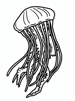 クラゲ クラゲ クラゲ,水族館,海,生き物,塗り絵のイラスト素材