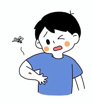 Illustration, mosquito, insect bites, man, 