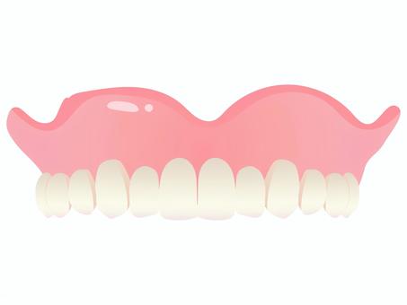総義歯 正面イラスト(上顎) 総義歯 正面イラスト(上顎) 総義歯,上顎,入れ歯,歯科,歯科技工,医療,教材用イラスト,正面,デフォルメ,カラーイラストのイラスト素材