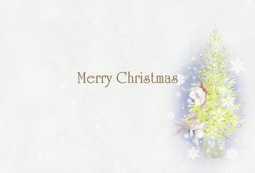 クリスマスローズとモミの木の絵はがき クリスマス,クリスマスツリー,12月,冬,植物,もみ,木,イラスト,手描き,水彩のイラスト素材