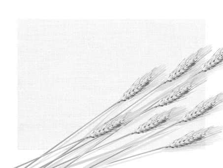 白黒の麦穂と麻布の背景　mugi017 麦穂,白黒,リアル,ナチュラル,お洒落,自然,植物,大人っぽい,枠,背景のイラスト素材