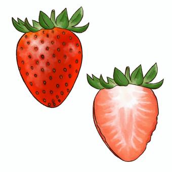 Illustration, strawberry, fruit, fruits, 