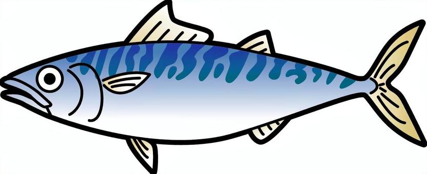 插圖, 插圖, 薩巴, 海鮮, 新鮮的魚,