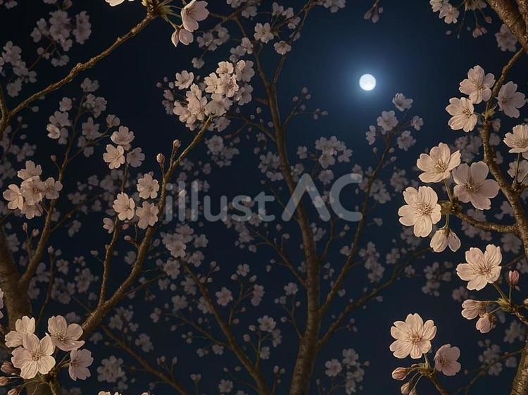 桜と月の背景素材（春・夜空） 夜桜,桜,満月のイラスト素材