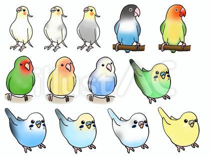 インコイラストセット