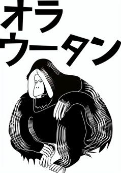 オラウータン　 オラウータン,類人猿,哺乳類,動物園,賢い,カタカナ,白黒のイラスト素材