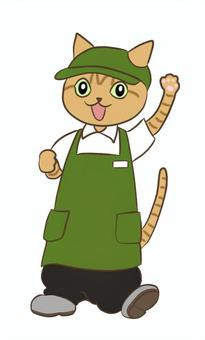 Illustration, cat, clerk, tea tiger, 