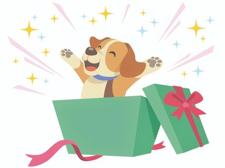 緑の箱から飛び出す犬 犬,箱,リボン,プレゼント,ギフト,バーゲン,セール,サプライズ,ショッピング,キラキラのイラスト素材