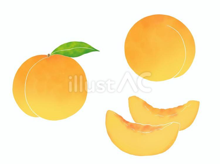 黄桃 黄桃,桃,果物のイラスト素材