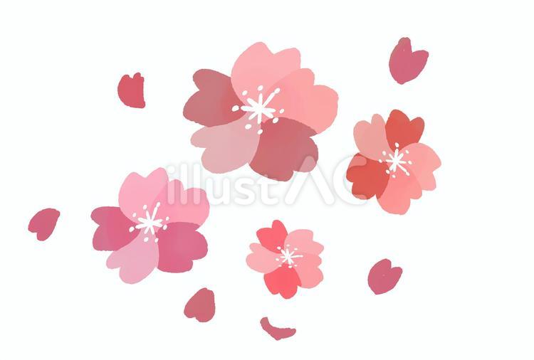 桜の素材 桜,春,花のイラスト素材