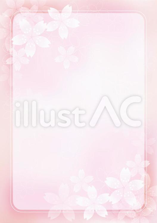 さくら桜＆ボード11 花,桜,春のイラスト素材