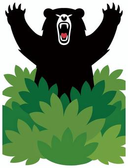 草むらから飛び出すくま（素材） 熊出没注意,注意,警告,くま,クマ,熊,ベアー,bear,草むら,狂暴のイラスト素材