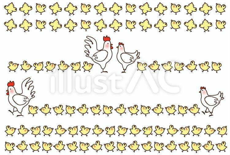 chicken_ヒヨコと鶏の罫線1 ニワトリ,にわとり,鶏のイラスト素材