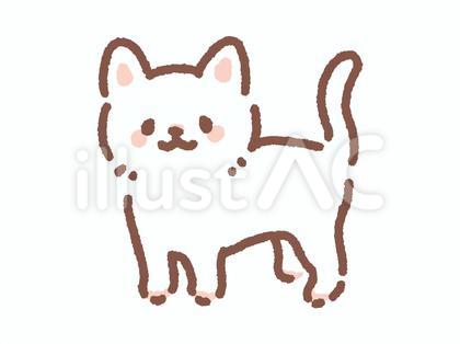 白猫