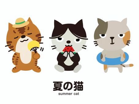 夏の猫 夏休み,夏,猫,子猫,仔猫,虎猫,ハチワレ,ぶち猫,麦わら帽子,うちわのイラスト素材