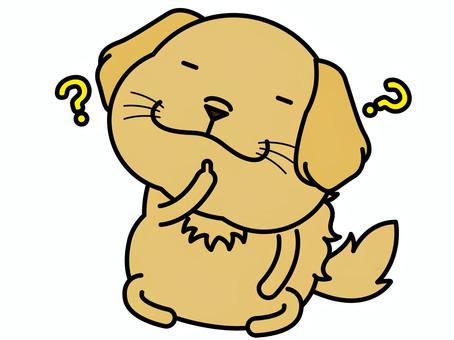 ゴールデンさん 認知症 認知症,物忘れ,ハテナ,謎,ゴールデンレトリバー,不思議,考察,犬,動物,キャラクターのイラスト素材