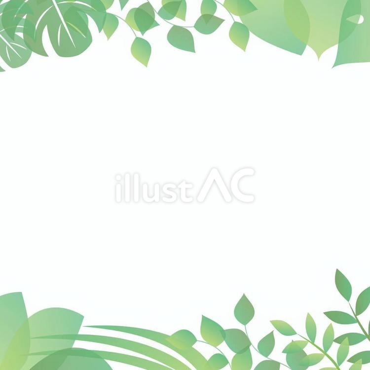 緑の葉っぱのフレーム・正方形 緑,新緑,葉脈のイラスト素材