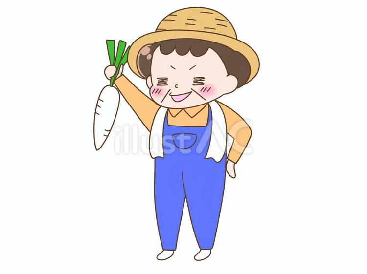 大根を収穫した農家の中年女性 農家,菜園,家庭菜園のイラスト素材