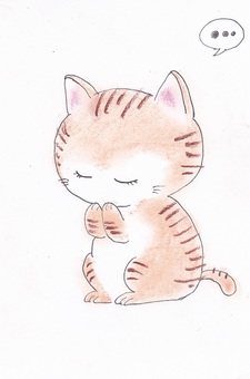おねがい猫 おねがい猫 猫,可愛いのイラスト素材