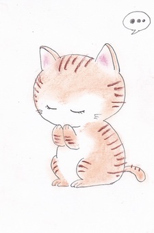 おねがい猫 猫,可愛いのイラスト素材