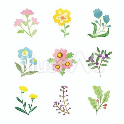 水彩の花セット