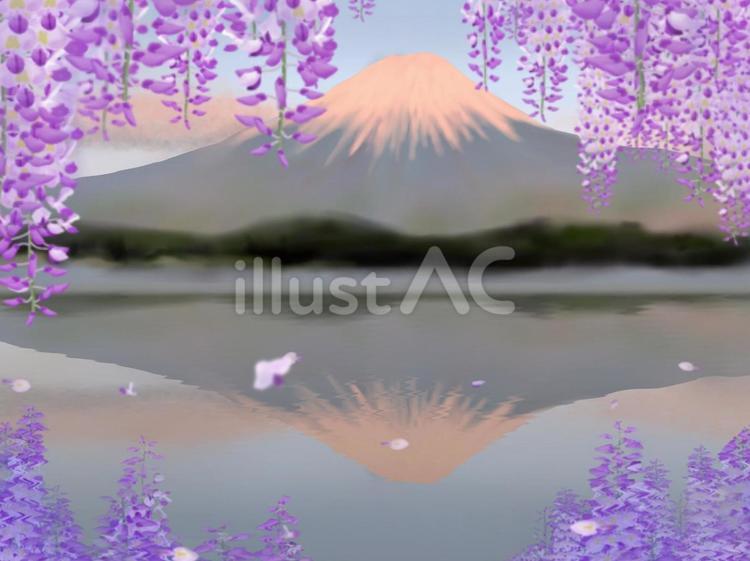 夕焼け富士山と藤の花 富士山,山,藤のイラスト素材