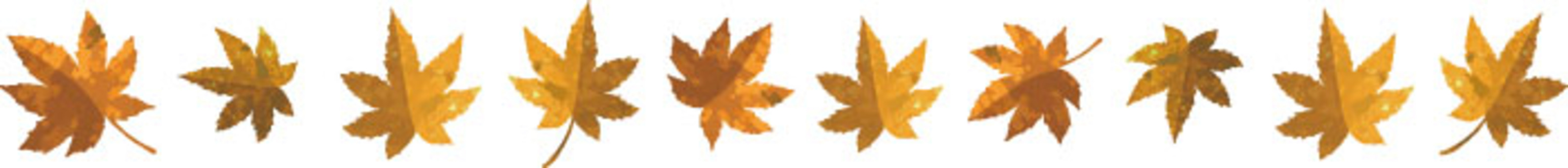 Autumn material (autumn leaves 1 yellow · line), natural, autumn, leaf, JPG and PNG