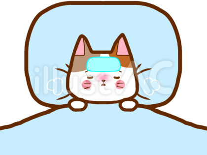 熱体調不良猫さん