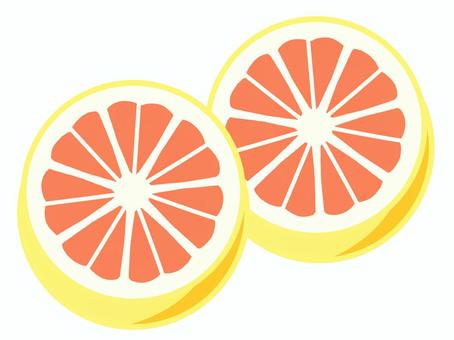 グレープフルーツカット２ グレープフルーツ,果物,食べ物,おいしい,シンプル,カットのイラスト素材