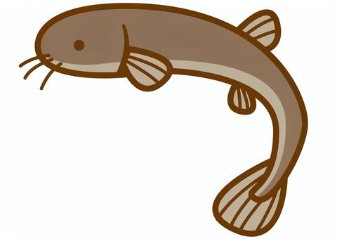 Illustration, learn more, fish, freshwater fish, 
