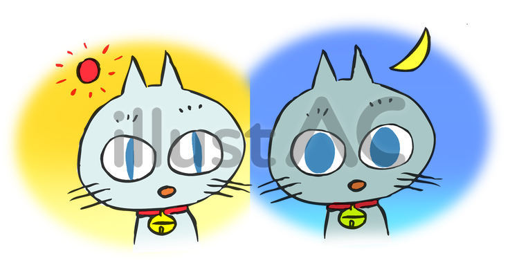 瞳 瞳,眼,猫のイラスト素材