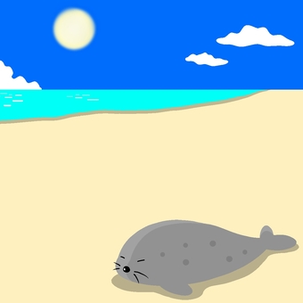 Illustration, animal, seal, beach, JPG and PNG