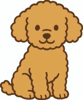 トイプードル トイプードル,犬,子犬,小型犬,ベクター,茶色,可愛いのイラスト素材