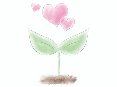 수채화의 떡잎과 핑크색의 하트, JPG 및 PNG 수채화의 떡잎과 핑크색의 하트, 후타바, 수채화, 하트, JPG 및 PNG