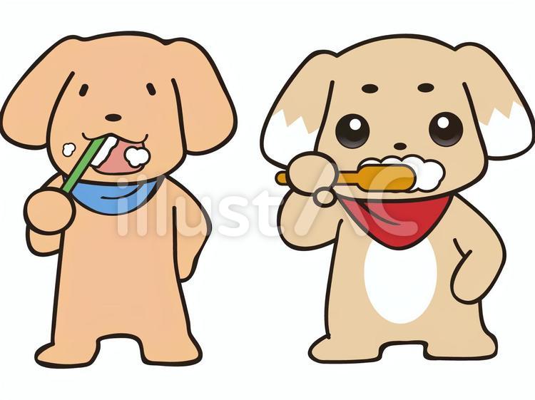 はみがきわんこ 犬,歯みがき,茶色のイラスト素材
