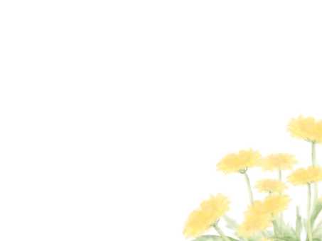 Illustration, dandelion, flower, spring, 