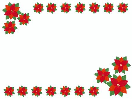 ポインセチア C