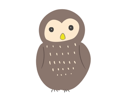 フクロウ フクロウ,鳥,動物,生き物,自然,茶色,くちばし,翼,正面,1羽のイラスト素材