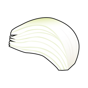 くし形切りにした玉ねぎのリアルイラスト 玉ねぎ,野菜,くし形切り,カット野菜,健康,栄養,食育,献立,レシピ,メニューのイラスト素材