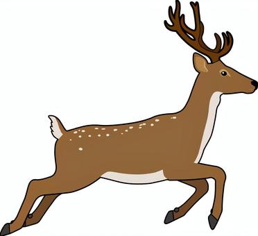 Illustration, deer, run, a horn, 