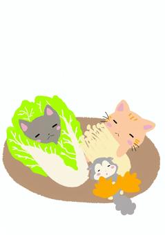 猫と鍋の具材
