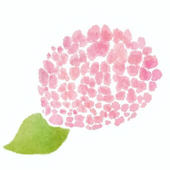 Hydrangea 10, бледный, желто-зеленый, дружеский, JPG and PNG