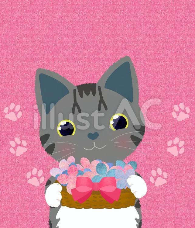 猫多目的カード7 ねこ,黄色い目,子猫のイラスト素材